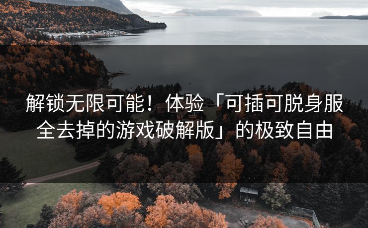 解锁无限可能!体验「可插可脱身服全去掉的游戏破解版」的极致自由 解锁无限可能!体验「可插可脱身服全去掉的游戏破解版」的极致自由