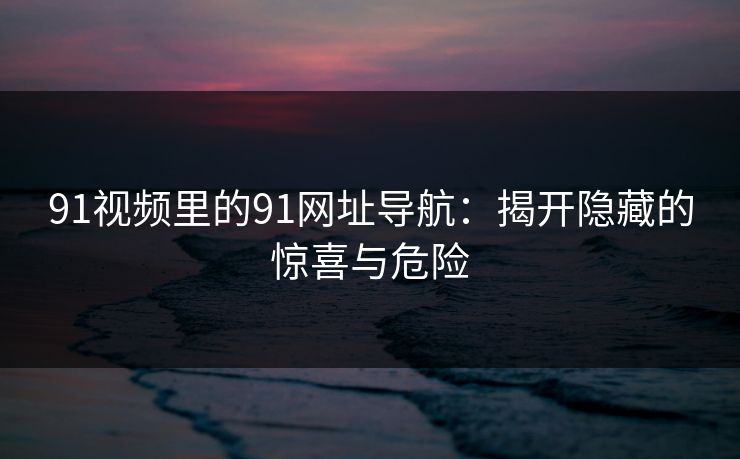 91视频里的91网址导航：揭开隐藏的惊喜与危险