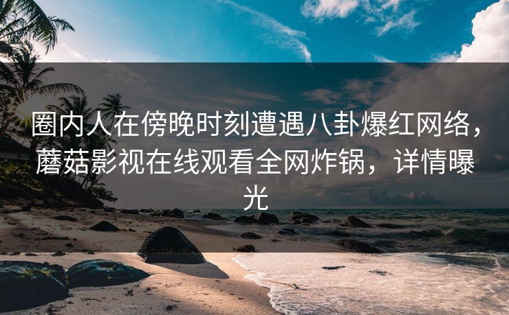 圈内人在傍晚时刻遭遇八卦爆红网络，蘑菇影视在线观看全网炸锅，详情曝光