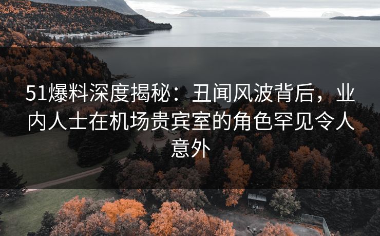 51爆料深度揭秘：丑闻风波背后，业内人士在机场贵宾室的角色罕见令人意外