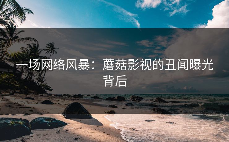 一场网络风暴：蘑菇影视的丑闻曝光背后