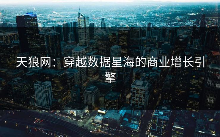 天狼网：穿越数据星海的商业增长引擎