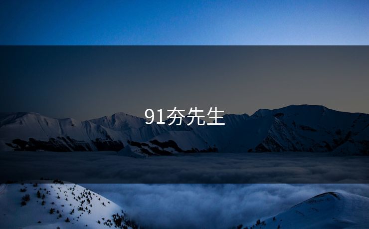 91夯先生