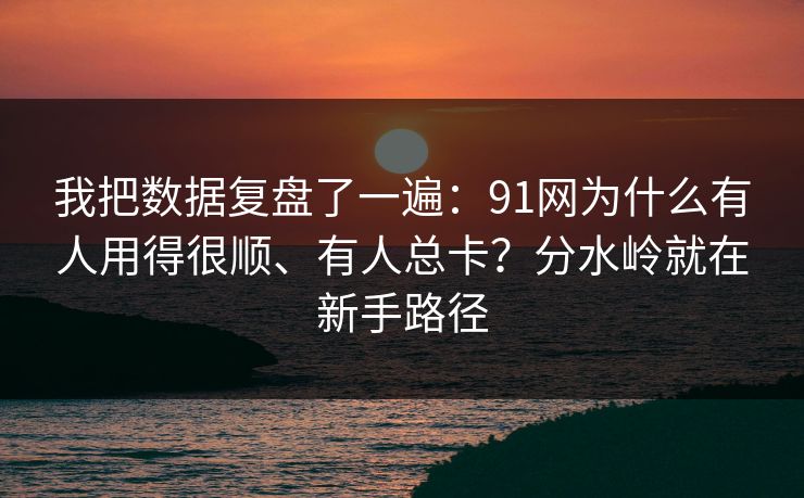 我把数据复盘了一遍：91网为什么有人用得很顺、有人总卡？分水岭就在新手路径